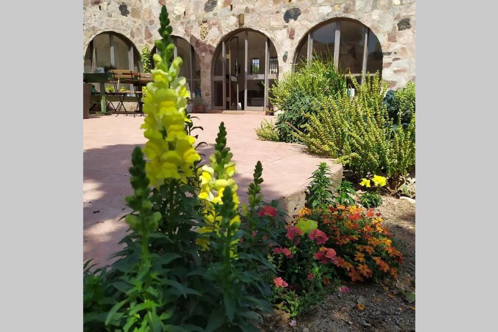 Eilat Stone - Patio אבן אילת - פטיו Apartment Luaran gambar