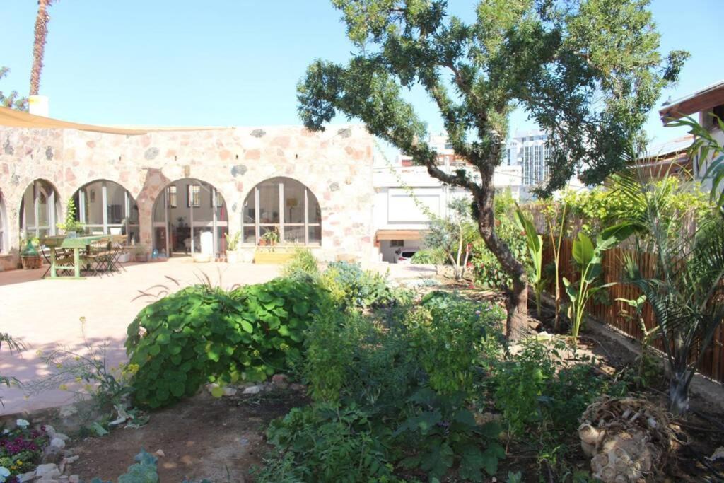 Eilat Stone - Patio אבן אילת - פטיו Apartment Luaran gambar