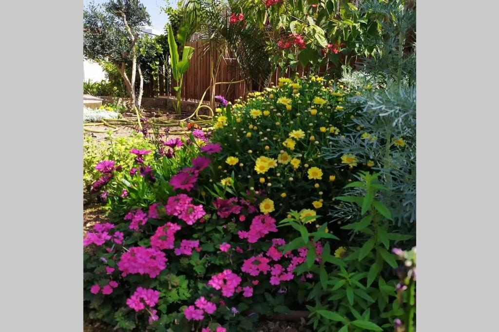 Eilat Stone - Patio אבן אילת - פטיו Apartment Luaran gambar